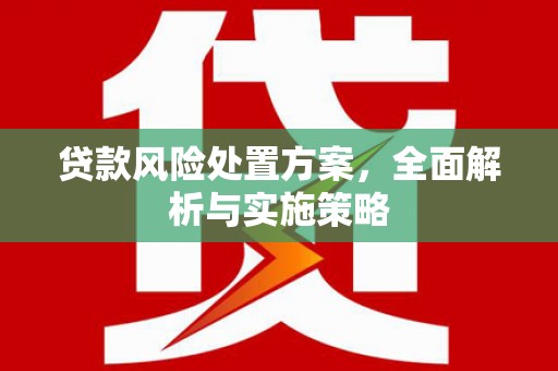 玄武贷款风险处置方案，全面解析与实施策略