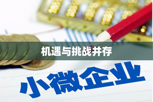 玄武机遇与挑战并存