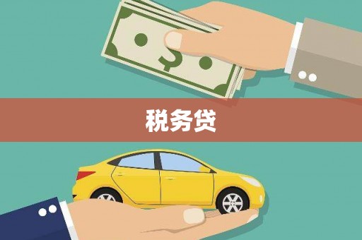 玄武税务贷