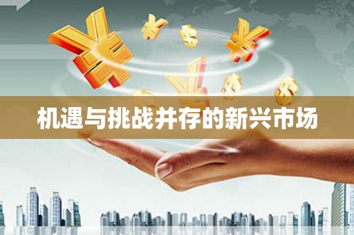 玄武机遇与挑战并存的新兴市场
