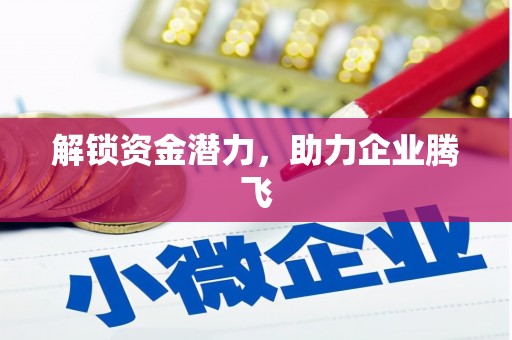 玄武解锁资金潜力，助力企业腾飞