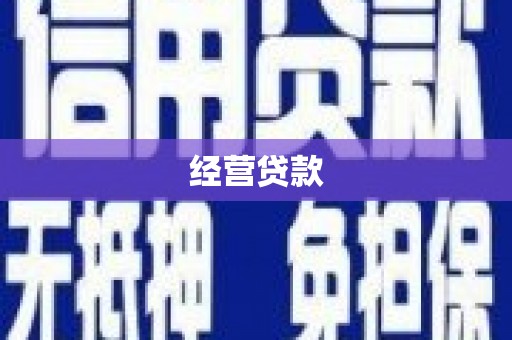 玄武经营贷款