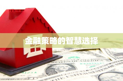 玄武金融策略的智慧选择
