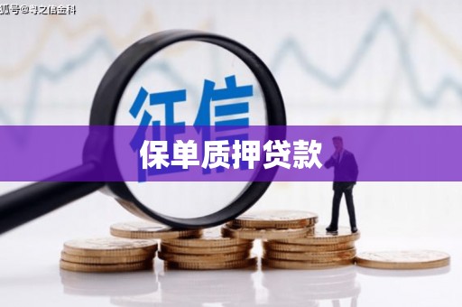 玄武保单质押贷款