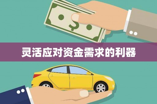 玄武灵活应对资金需求的利器