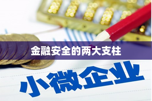玄武金融安全的两大支柱