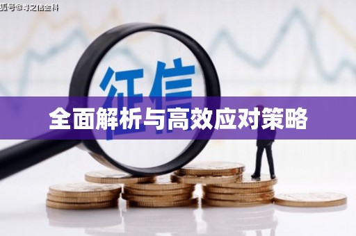 玄武全面解析与高效应对策略