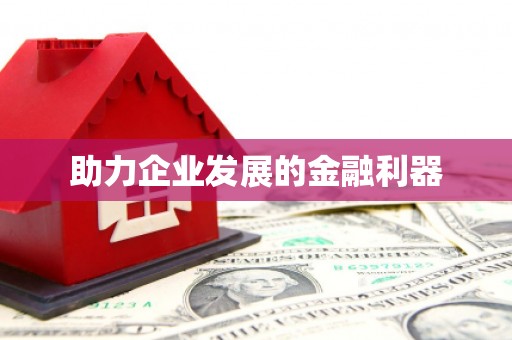 玄武助力企业发展的金融利器