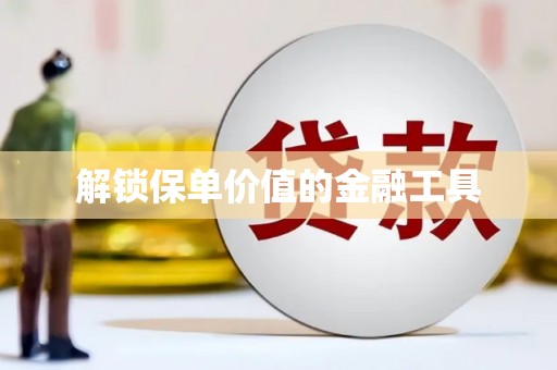 玄武解锁保单价值的金融工具