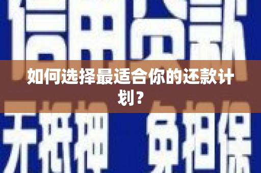 玄武如何选择最适合你的还款计划？