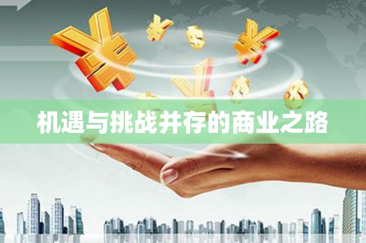 玄武机遇与挑战并存的商业之路