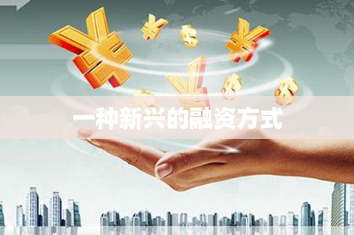 玄武一种新兴的融资方式