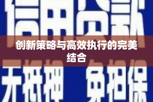 玄武创新策略与高效执行的完美结合