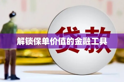 玄武解锁保单价值的金融工具
