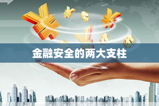 玄武金融安全的两大支柱