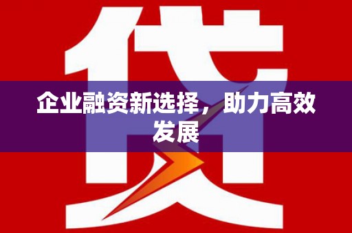 玄武企业融资新选择，助力高效发展