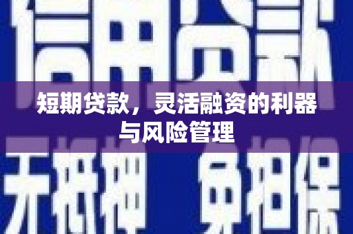 玄武短期贷款，灵活融资的利器与风险管理