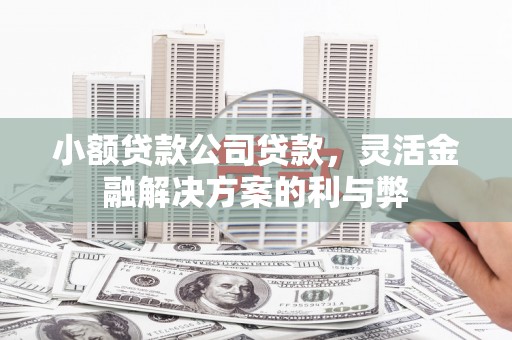 玄武小额贷款公司贷款，灵活金融解决方案的利与弊