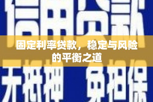 玄武固定利率贷款，稳定与风险的平衡之道