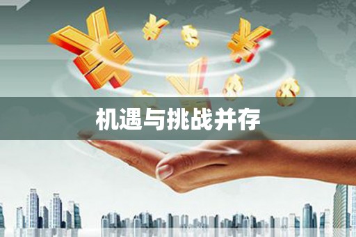玄武机遇与挑战并存