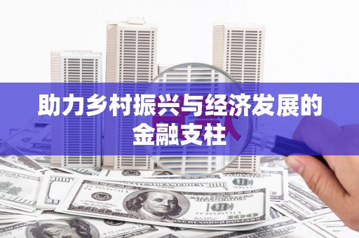 玄武助力乡村振兴与经济发展的金融支柱