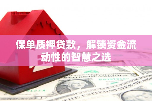 玄武保单质押贷款，解锁资金流动性的智慧之选