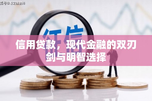 玄武信用贷款，现代金融的双刃剑与明智选择