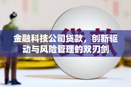 玄武金融科技公司贷款，创新驱动与风险管理的双刃剑