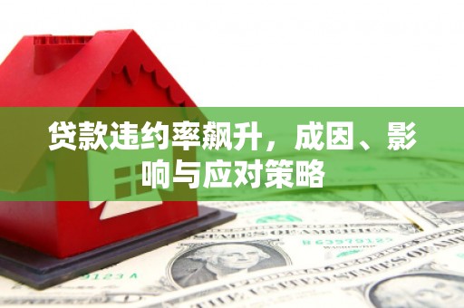 玄武贷款违约率飙升，成因、影响与应对策略
