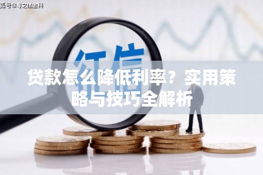玄武贷款怎么降低利率？实用策略与技巧全解析