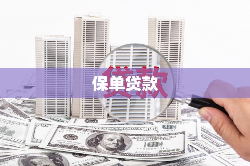 玄武保单贷款
